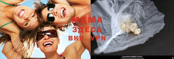 прущие грибы Елабуга
