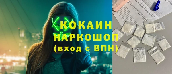 прущие грибы Елабуга