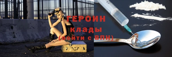 прущие грибы Елабуга