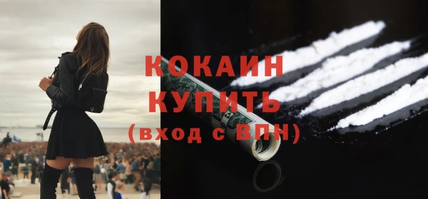 прущие грибы Елабуга