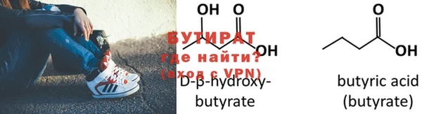 прущие грибы Елабуга