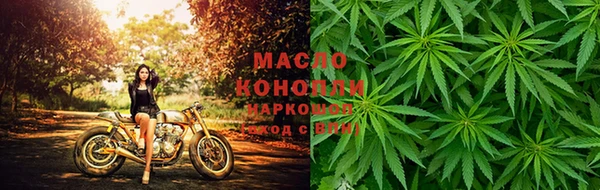 прущие грибы Елабуга