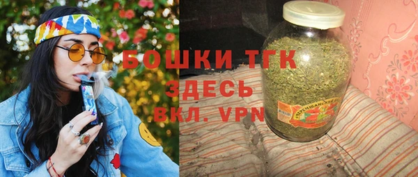 прущие грибы Елабуга