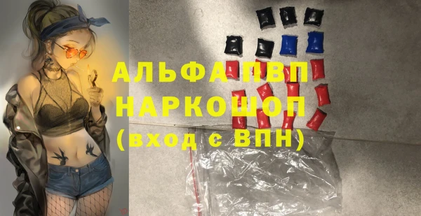 прущие грибы Елабуга