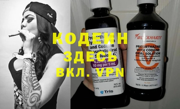 прущие грибы Елабуга