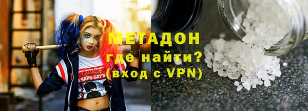 прущие грибы Елабуга