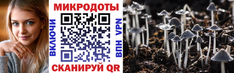 Галлюциногенные грибы мухоморы  как найти наркотики  mega зеркало  Можайск 